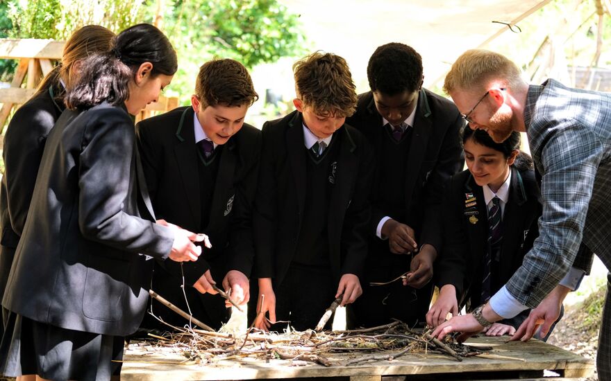 Seniors Image