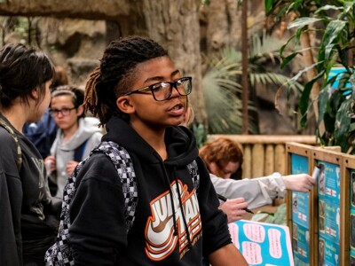 Westbourne  Year 8 Chester Zoo