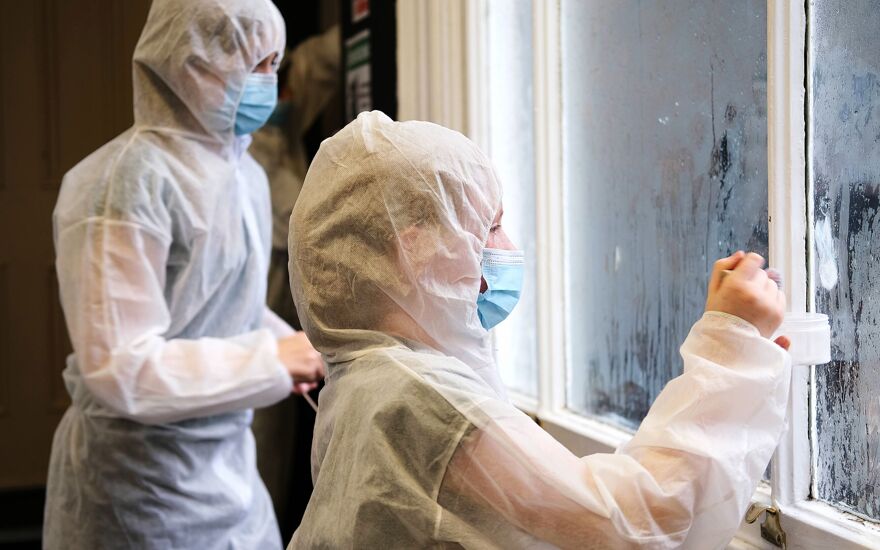 Natural History Image