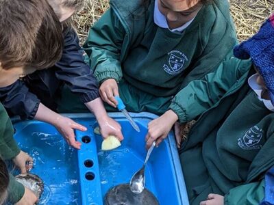 Westbourne outdoor learning 7