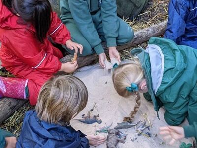 Westbourne outdoor learning 8