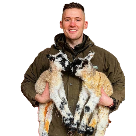 Peter Sykes Peter Sykes