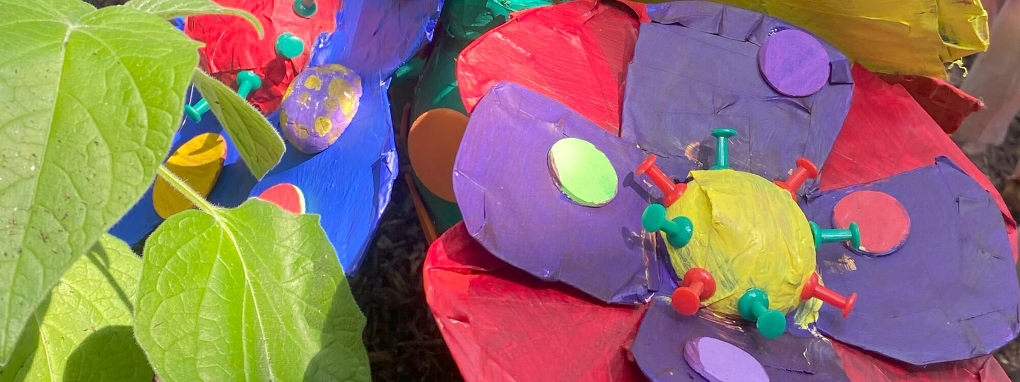 Header Image 1