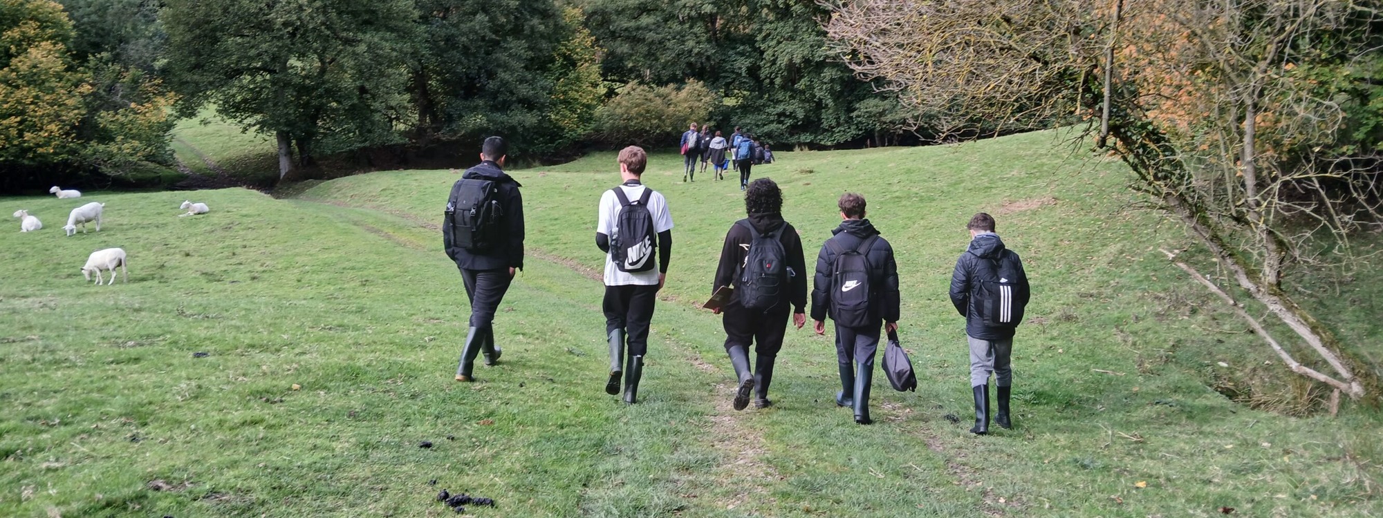 Header Image 1