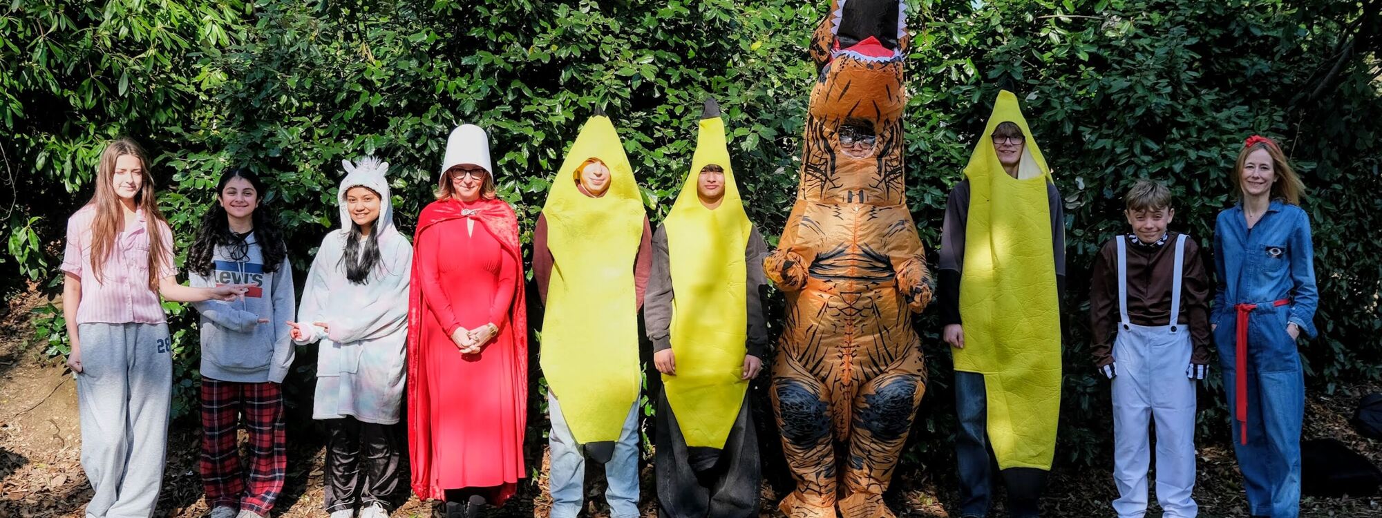 Header Image 2