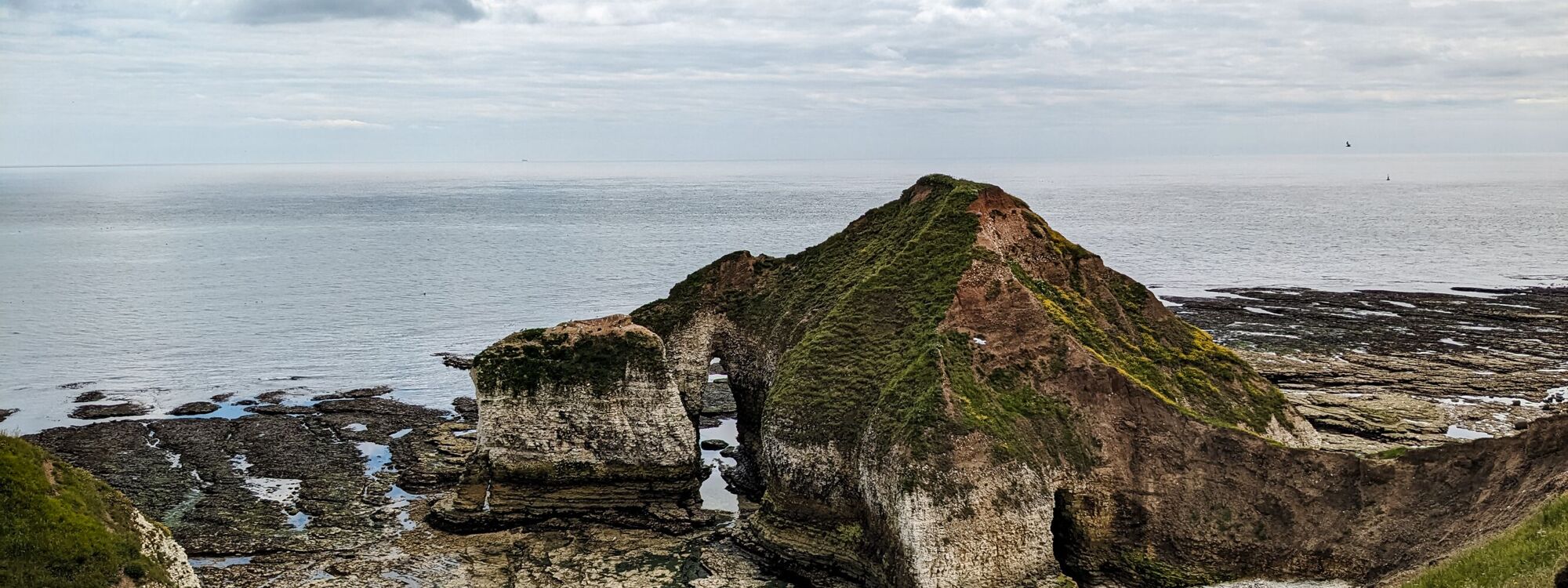 Header Image 2
