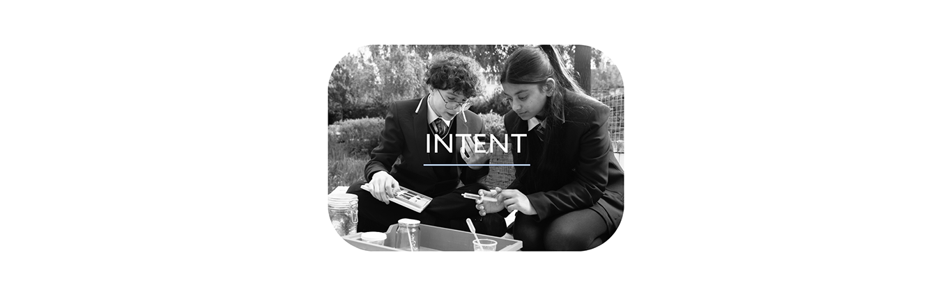Clarion Web Inline Image 01